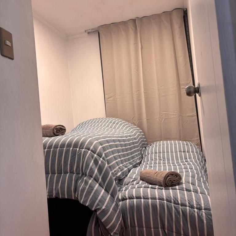 Depto céntrico 2D, cerca UdeC y Hospital Regional - Apartamento de 2 dormitorios - 5