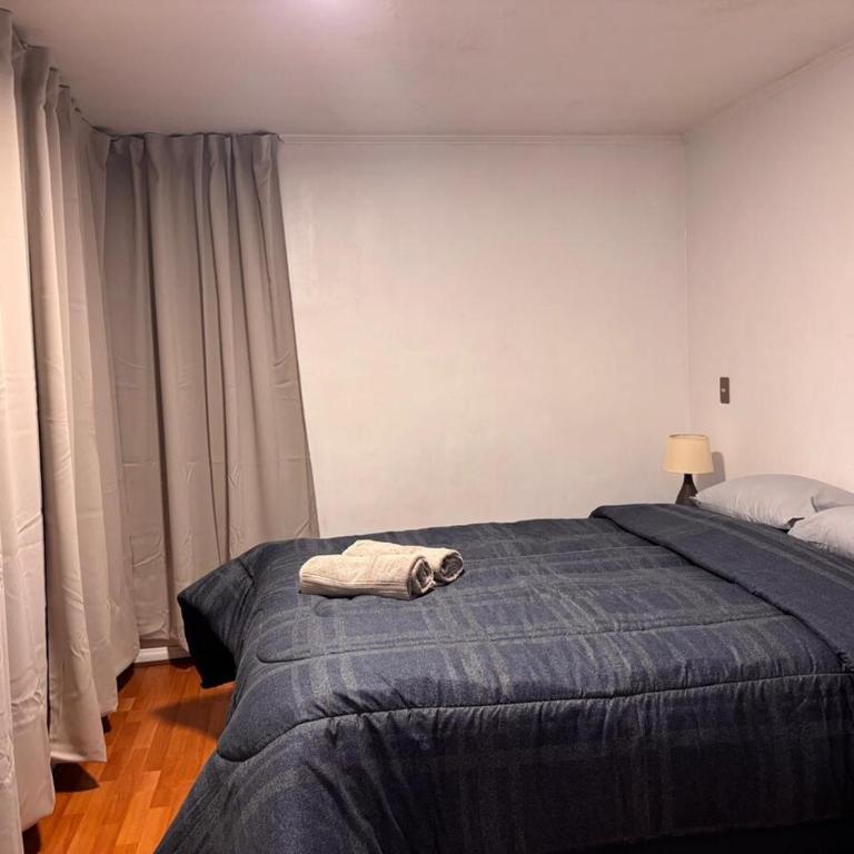 Depto céntrico 2D, cerca UdeC y Hospital Regional - Apartamento de 2 dormitorios - 7