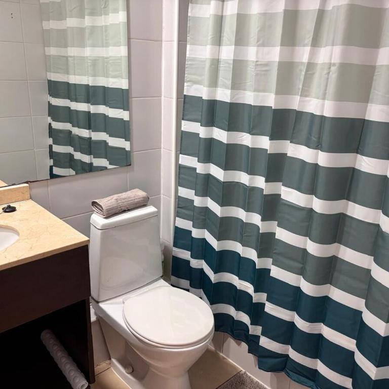 Depto céntrico 2D, cerca UdeC y Hospital Regional - Apartamento de 2 dormitorios - 9