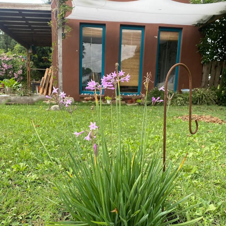 Tiny House Marencalma - Vacation Home - 5
