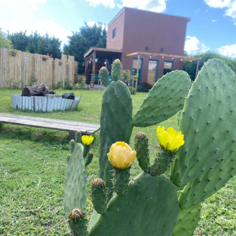 Tiny House Marencalma - Vacation Home - 8