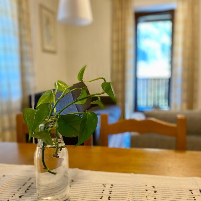 Bright apartment in Val Rendena - Appartement 2 Chambres - 19