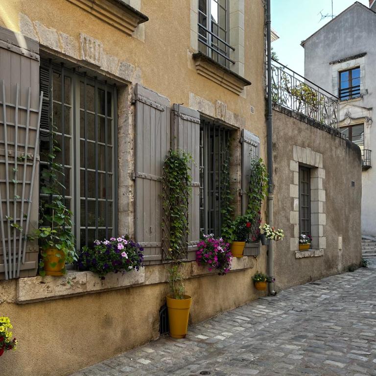 Châtel Rose - Historical Centre with Garden - Studio - 31