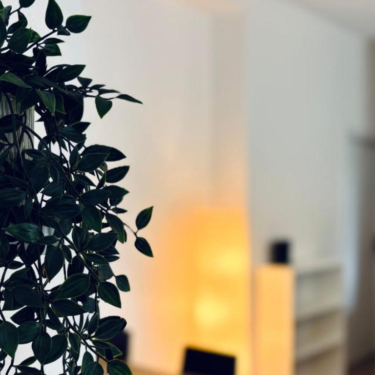 BorgoLuce Spacious Apt - FREE Parking - Near Airport & Center - Appartamento con 1 Camera da Letto - 9