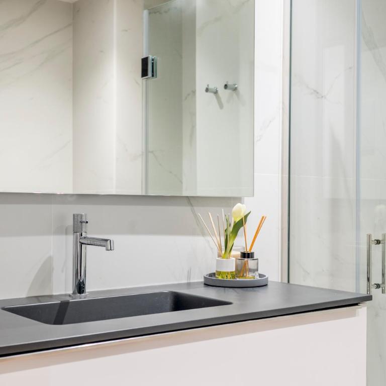 Apartamentos Príncipe de Canalejas, 1 y 2 dormitorios - Appartement Deluxe - 11