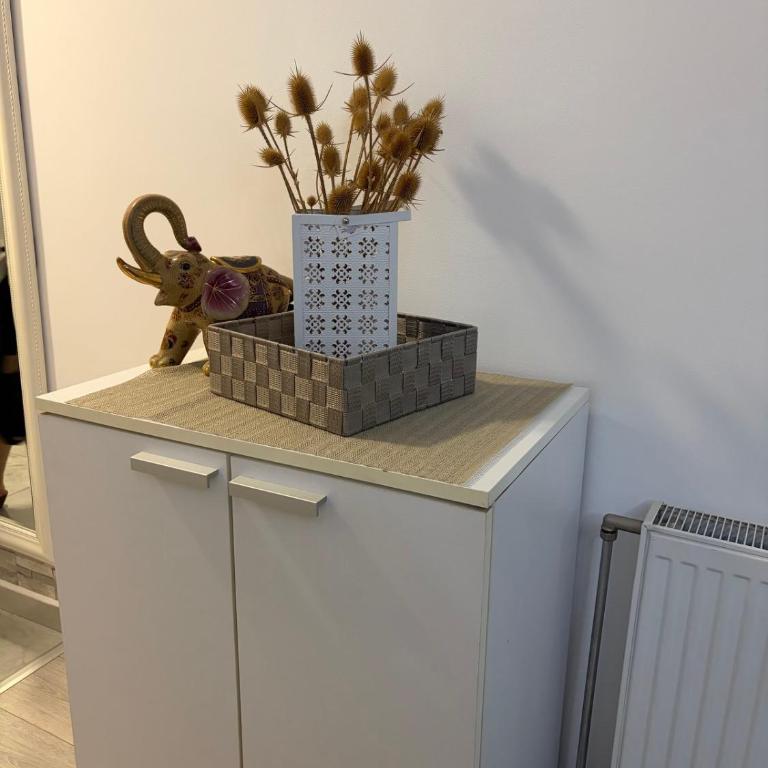 Apartman Sanja - Appartement 1 Chambre - 3