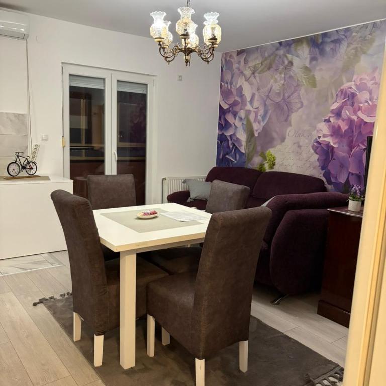 Apartman Sanja - Appartement 1 Chambre - 6