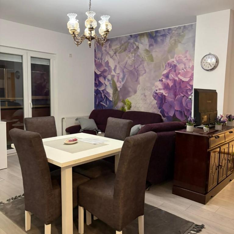 Apartman Sanja - Appartement 1 Chambre - 8