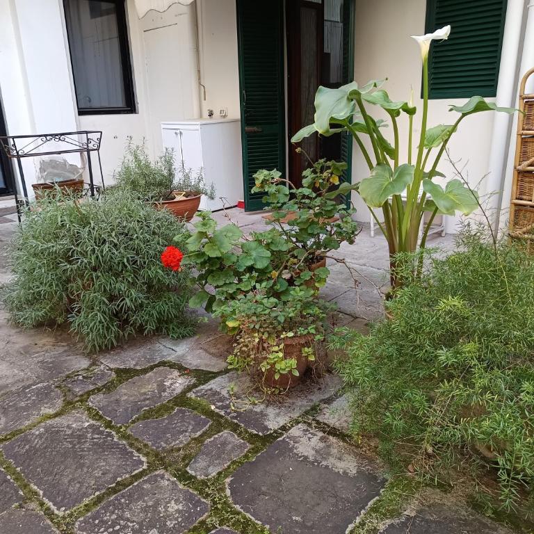 Savonarola Home Florence Italy - Apartamento de 2 dormitorios - 3