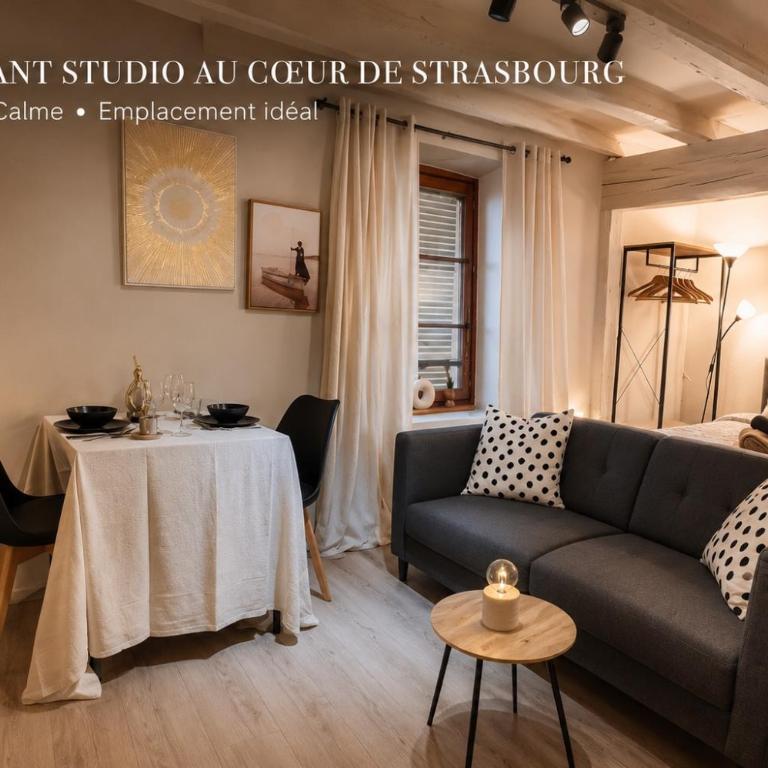 Apartment Hyper Center Strasbourg & Petite France - Entire apartment - One-Bedroom Apartment - 1