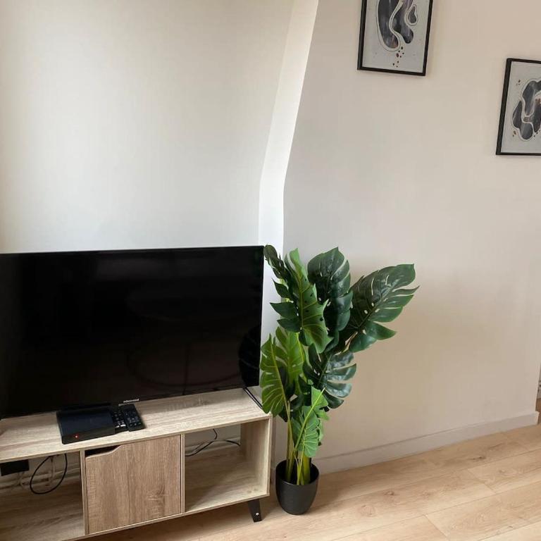 Zenith Urbain - Appartement 3 Chambres - 8