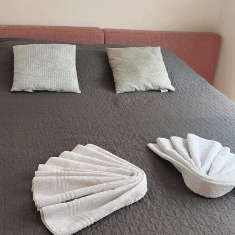 Apartman SRCE STAROG GRADA besplatan parking - Appartement 1 Chambre - 23