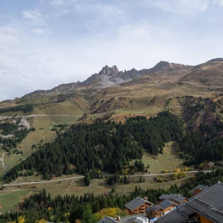 L'Arc-en-Ciel - Appartement sur les hauteurs du Mottaret avec accès aux pistes - Appartement 2 Chambres - 8