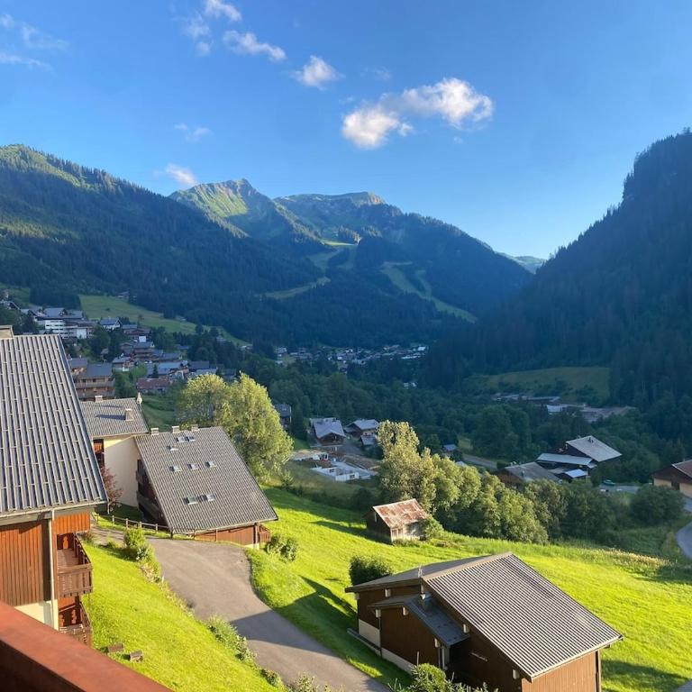 Beautiful Croix chalet ski top - Maison 3 Chambres - 9