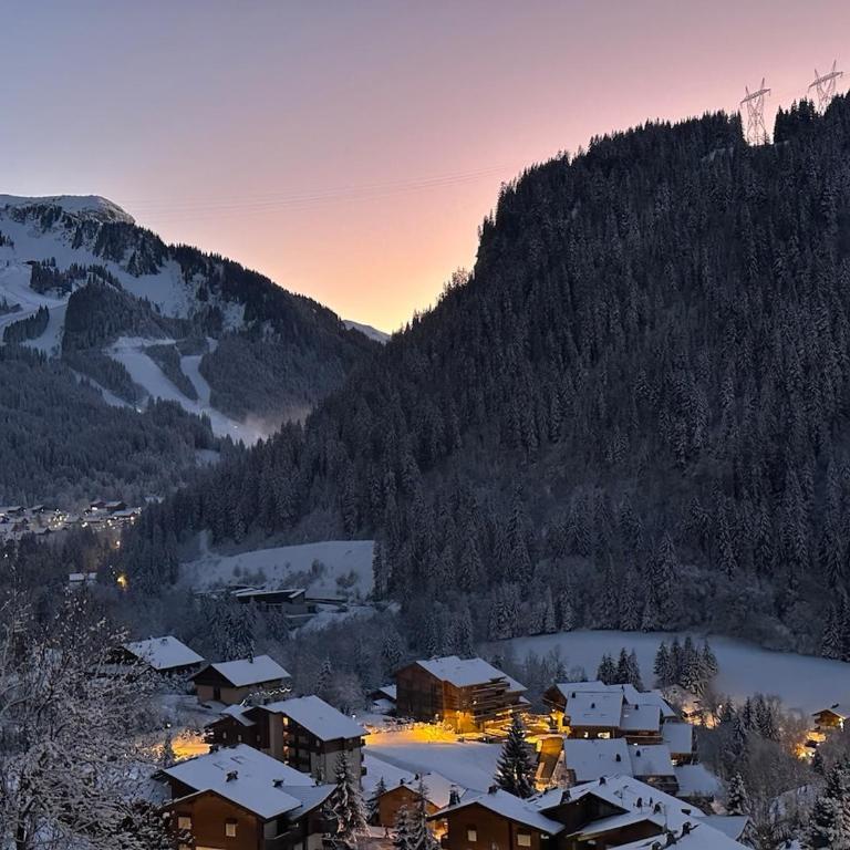 Beautiful Croix chalet ski top - Maison 3 Chambres - 12