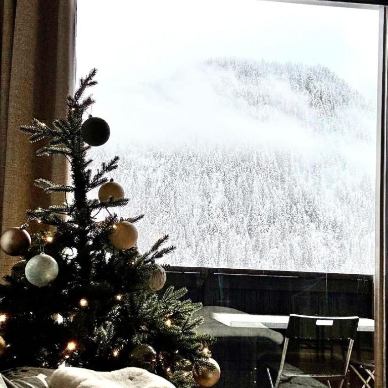 Beautiful Croix chalet ski top - Maison 3 Chambres - 18