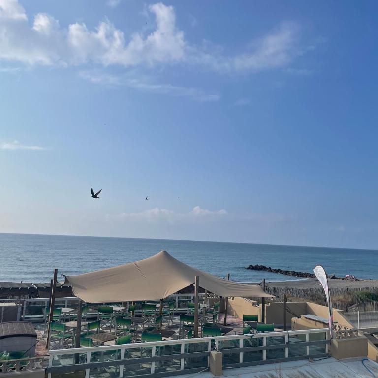 La Tour de la Mer - Vue Mer avec accès Plage direct - 150m2 - Clim - Parking privé - Appartement - 51