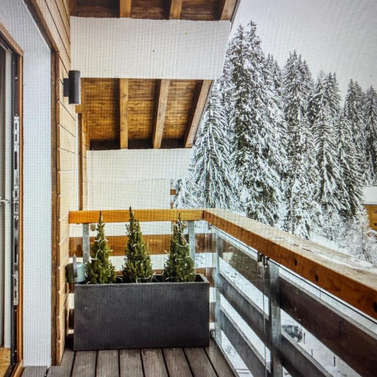 Crystal Lodge St Moritz - Chalet - 3