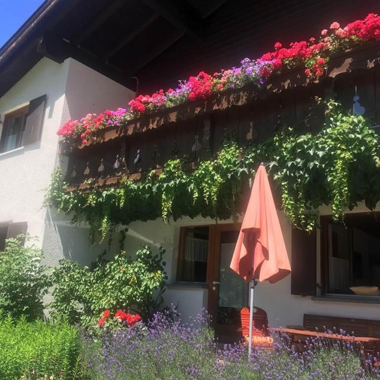 Pfeifer Birgitt - Apartment mit 2 Schlafzimmern - 10