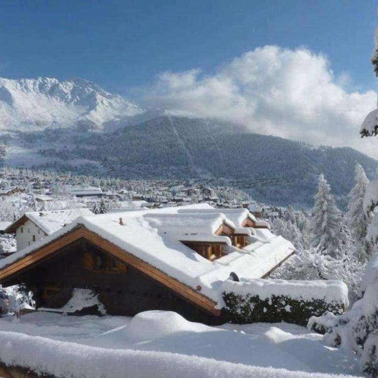 Chalet Lion d'Or - Chalet - 1