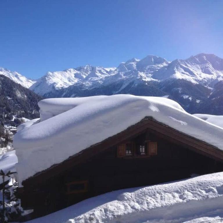 Chalet Lion d'Or - Chalet - 19