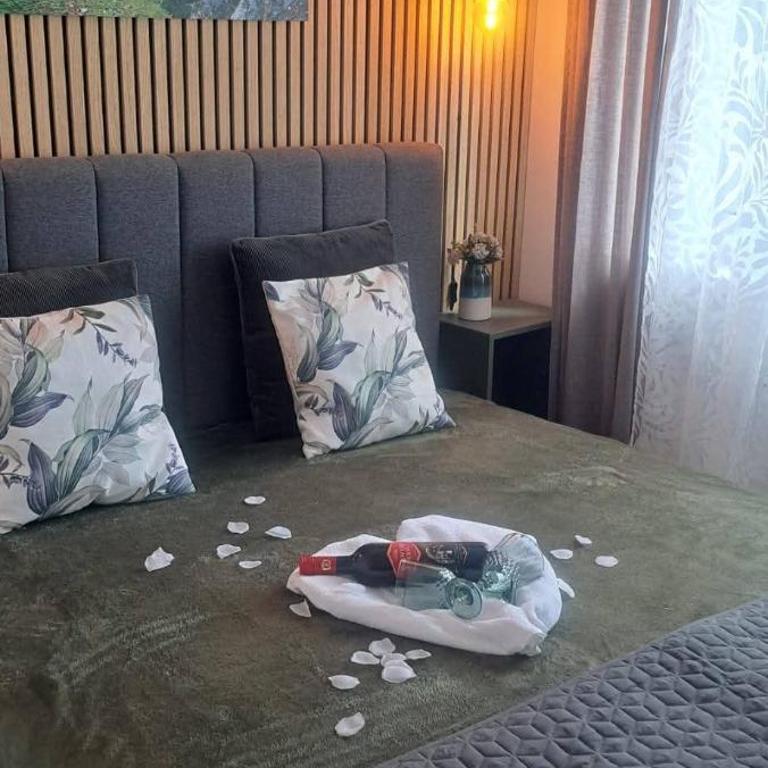 Nigde Bolje 6 - Apartman sa 1 Spavaćom Sobom - 7