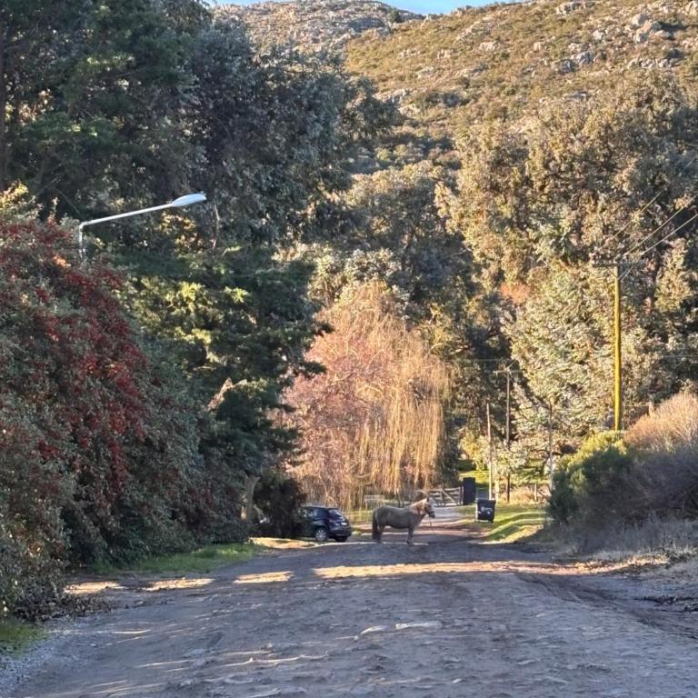 Quinta Ecuador Tandil - Two-Bedroom House - 45
