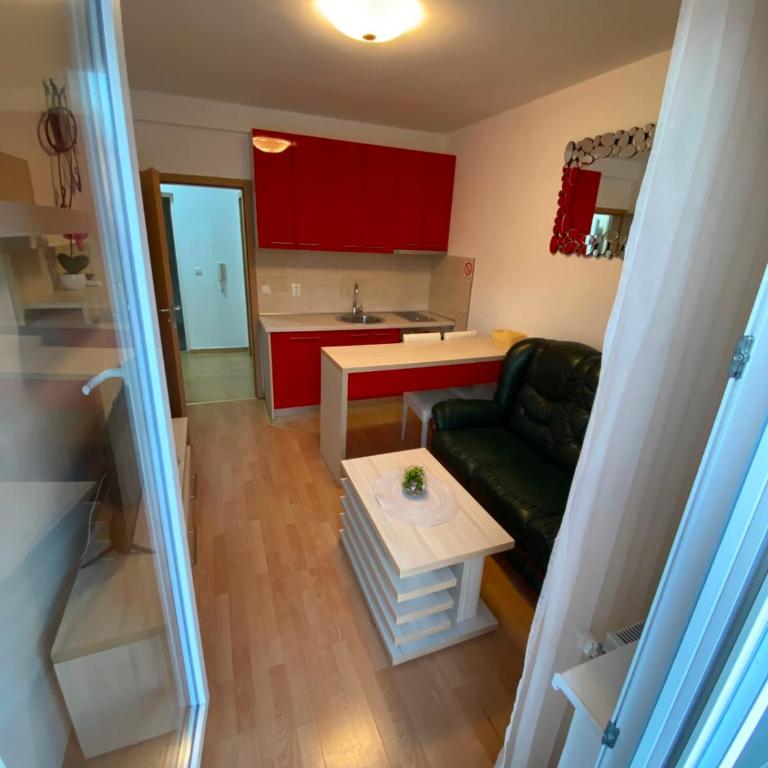 Luna Lux Apartmani - Apartman sa 1 Spavaćom Sobom - 18