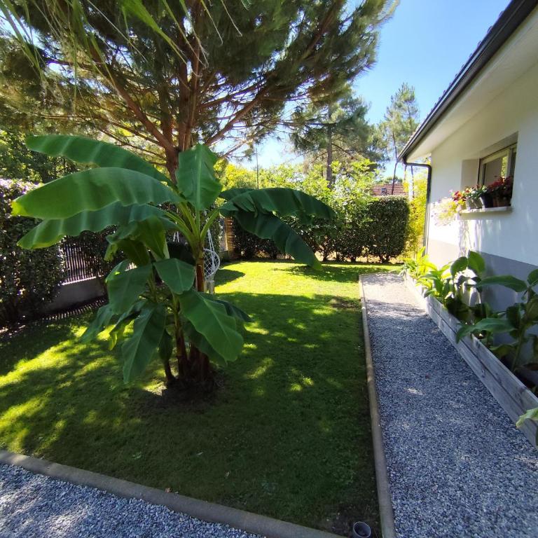 Maison cosy et calme - Villa 1 Chambre - 35