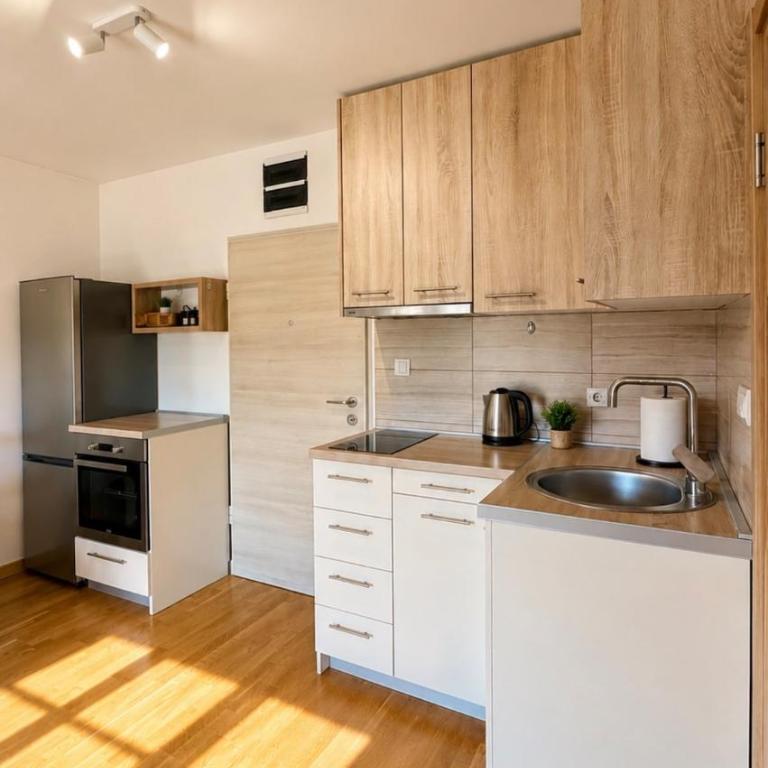 Gorica park view apartment - Apartman sa 1 Spavaćom Sobom - 7