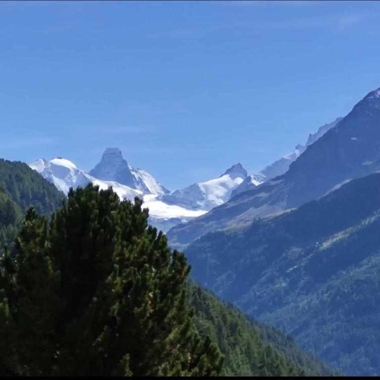 Chalet Bisse Neuf - Chalet mit 3 Schlafzimmern - 5