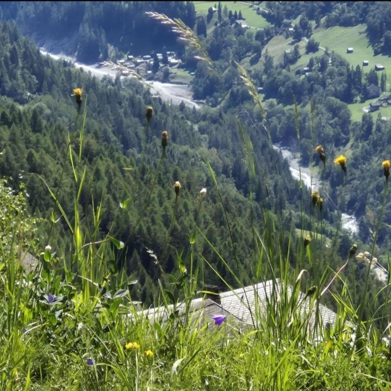 Chalet Bisse Neuf - Chalet mit 3 Schlafzimmern - 30