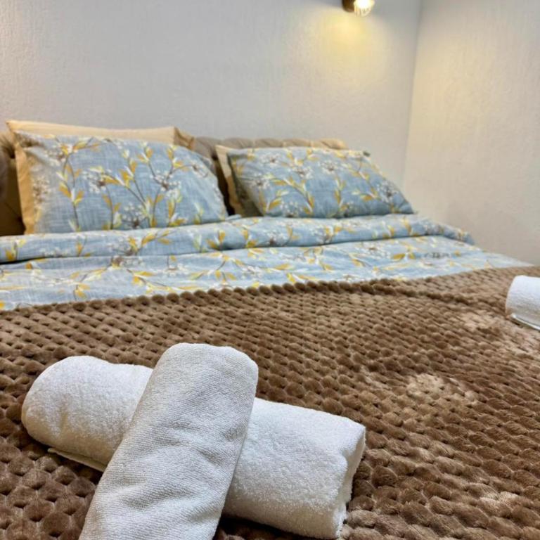 A&A Durmitor Apartments - Apartman sa 1 Spavaćom Sobom - 1