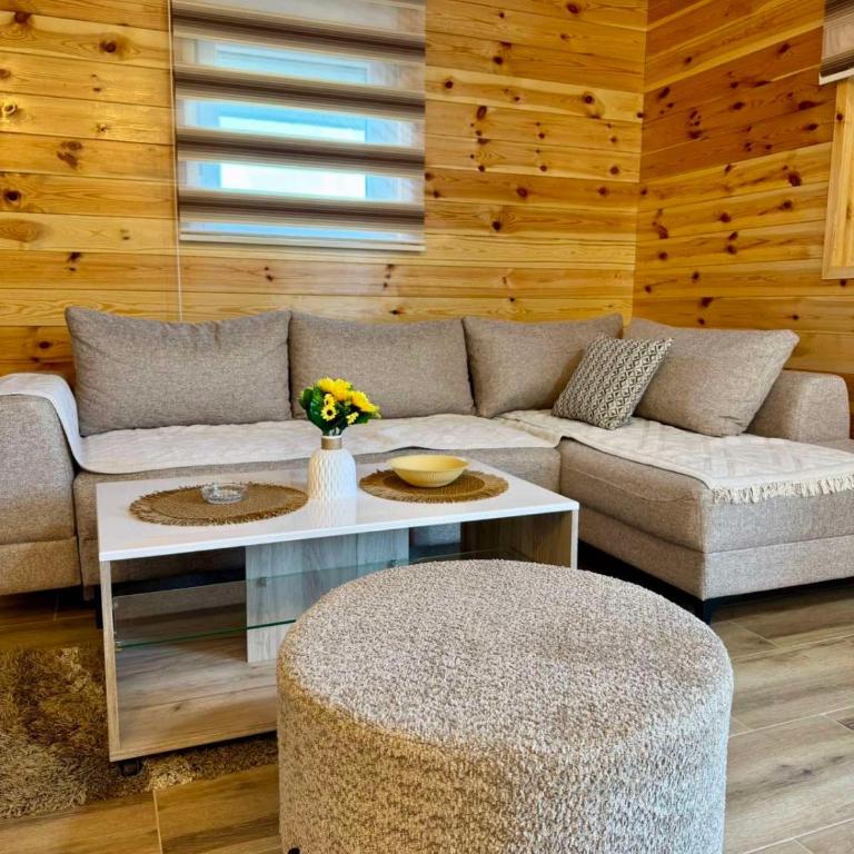 A&A Durmitor Apartments - Apartman sa 1 Spavaćom Sobom - 2
