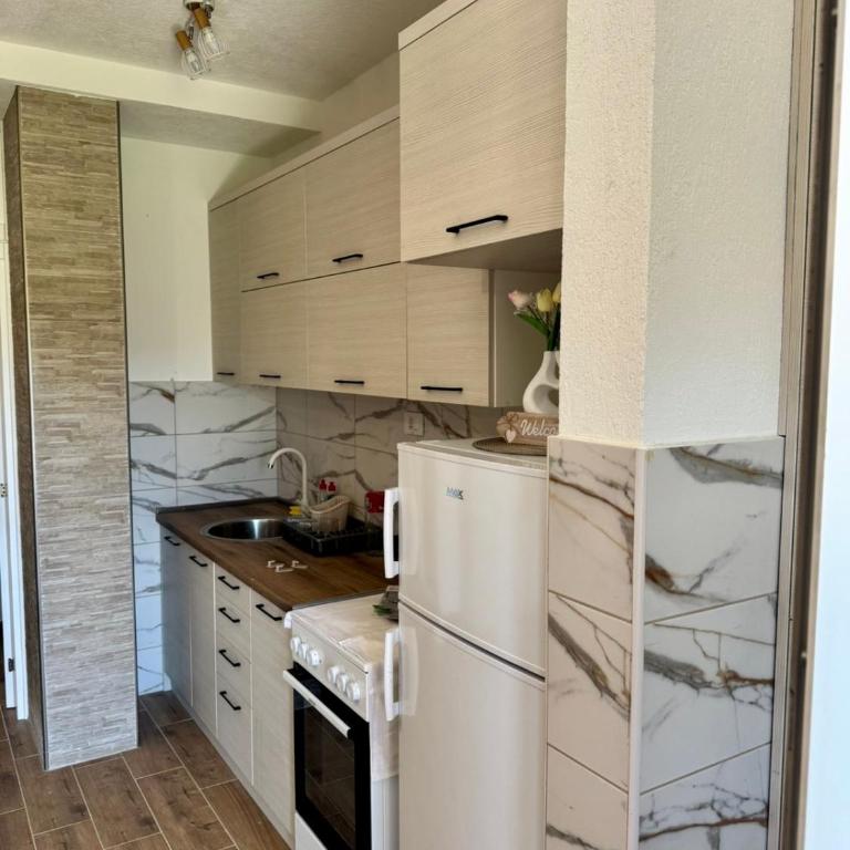 A&A Durmitor Apartments - Apartman sa 1 Spavaćom Sobom - 9