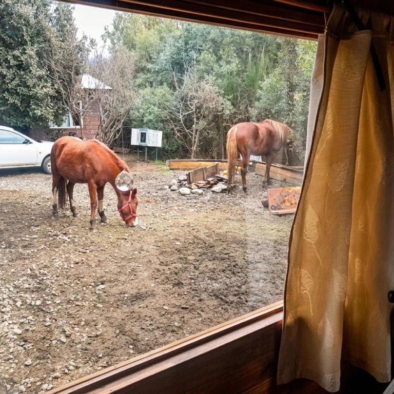 Casa rústica con caballos y hogar a leña - 8 pax - Casa de 3 dormitorios - 7