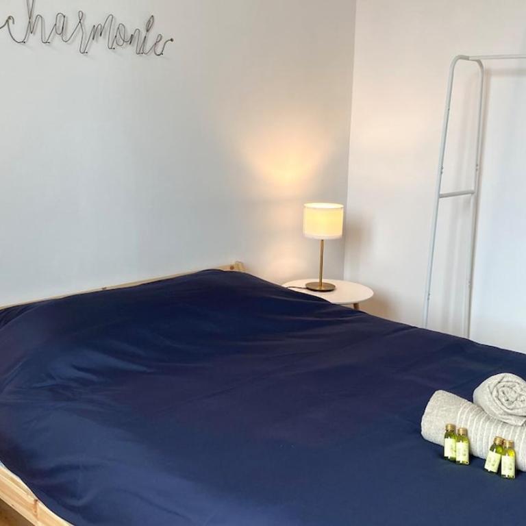 Charmant T2 à 5 min de la Gare - Jardin des plantes - One-Bedroom Apartment - 2