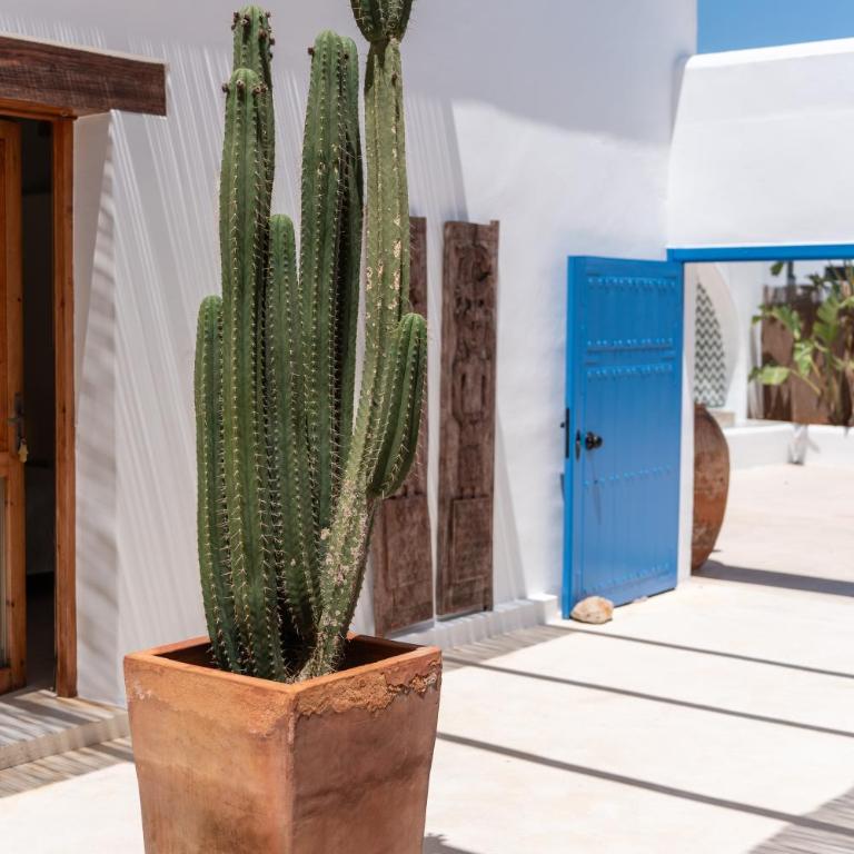 Boho Suites Denia - Suite Estándar - 2