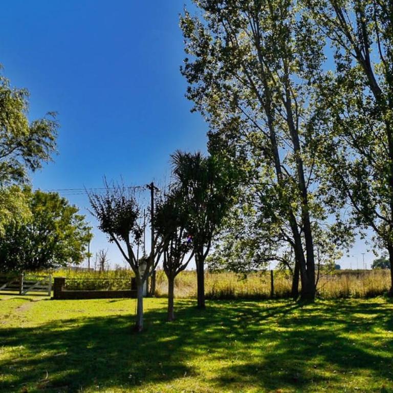 Quinta lo de Lolo - Villa with Private Pool - 9