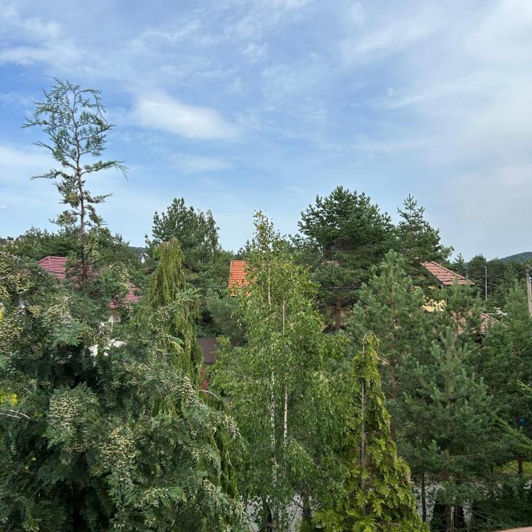 Apartmani MiM - Apartman sa 1 Spavaćom Sobom - 8