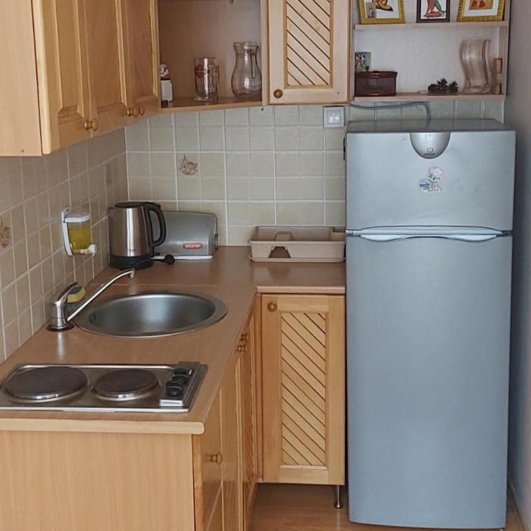 Apartmani MiM - Apartman sa 1 Spavaćom Sobom - 6