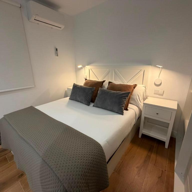 Apartamentos Príncipe de Canalejas, 1 y 2 dormitorios - Appartement Deluxe - 9