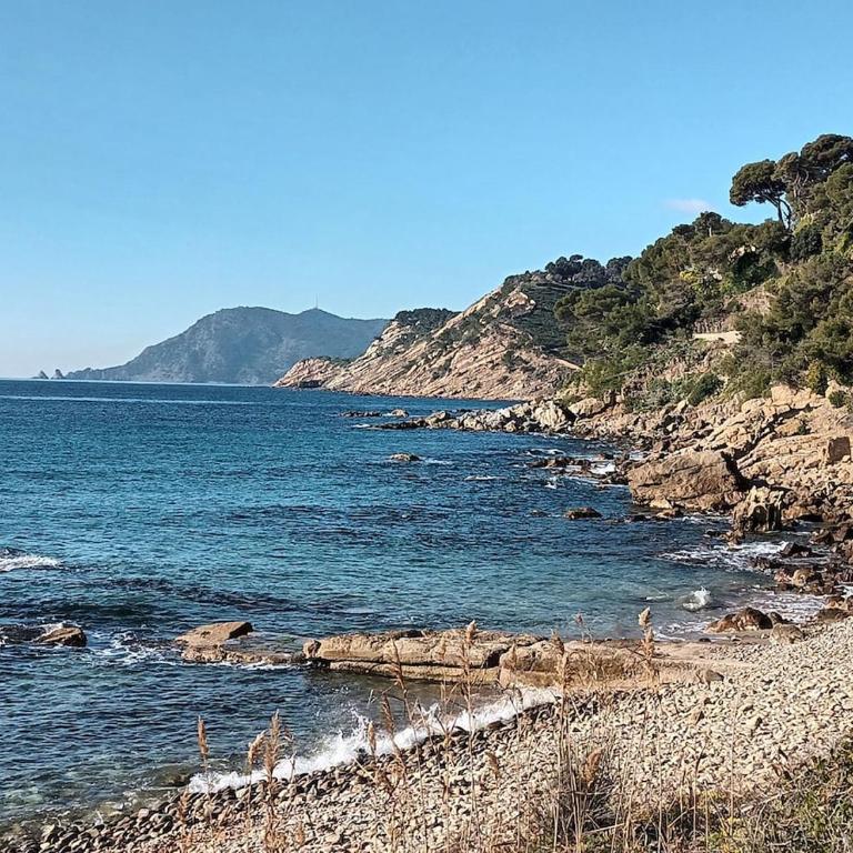 Plage Vacance Soleil - Appartement 1 Chambre - 5