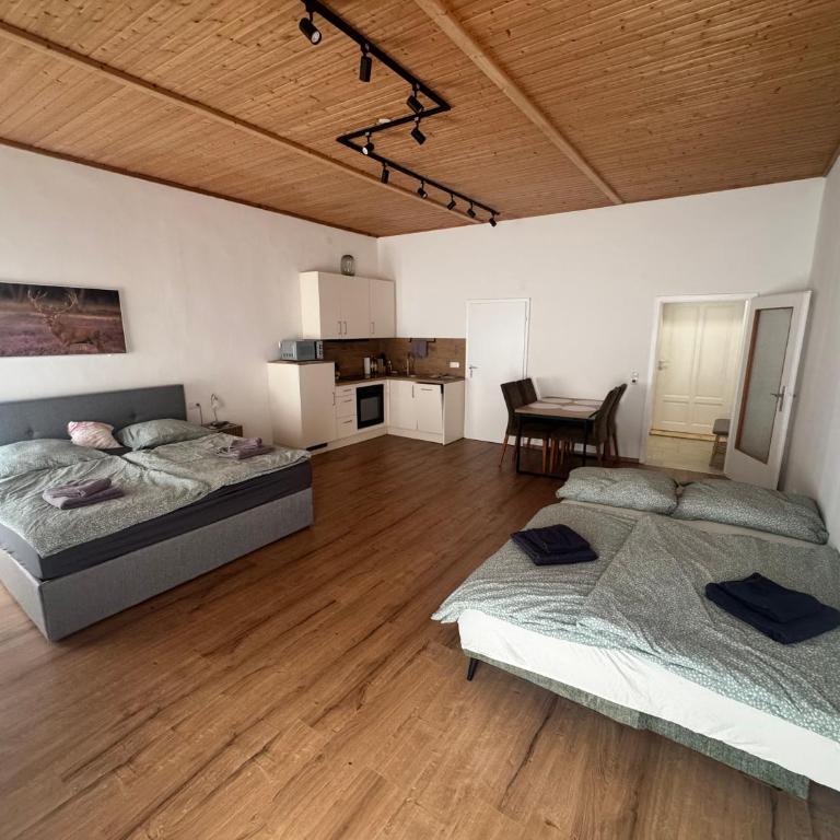 Apartment mit Balkon Kaiser von Österreich - Apartment mit 1 Schlafzimmer - 4