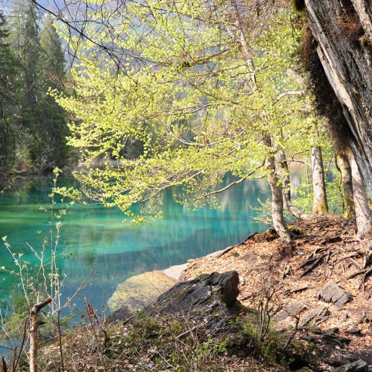 Casa al Lag - direkt am Laaxersee - Apartment mit 3 Schlafzimmern - 42