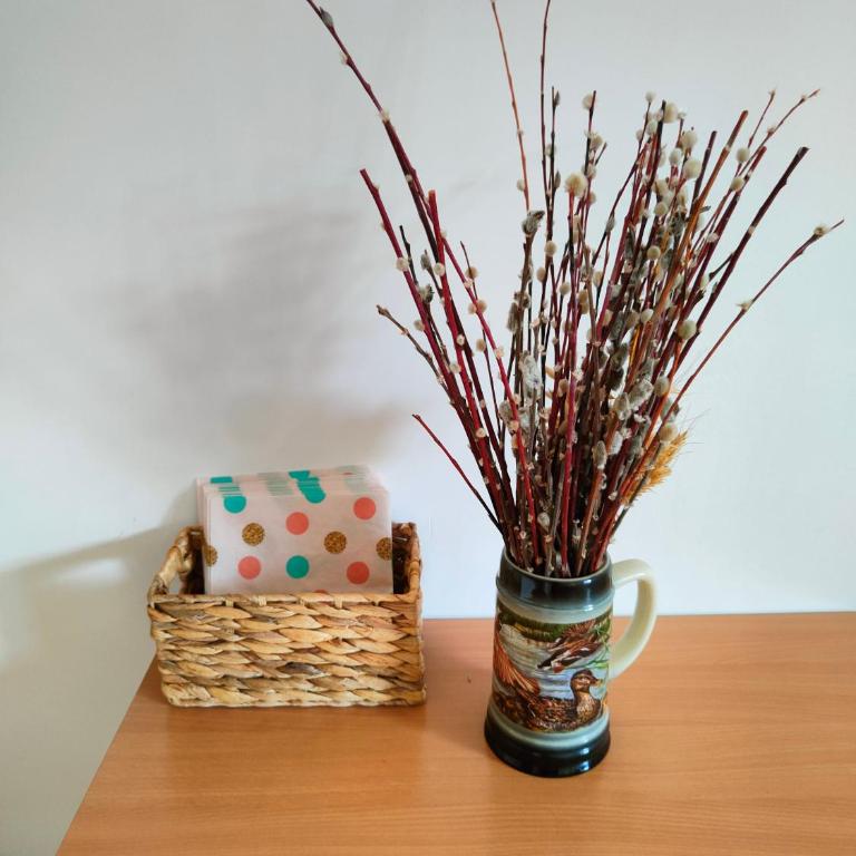 Vidikovac - One-Bedroom Apartment - 18