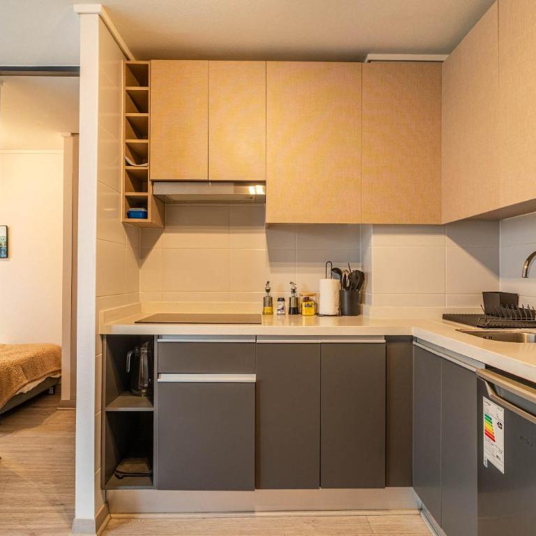 HOM I Santiago Cálido Wifi Terraza Calefactor - Apartment - 23