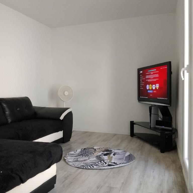 Louis Pasteur - Appartement 1 Chambre - 2