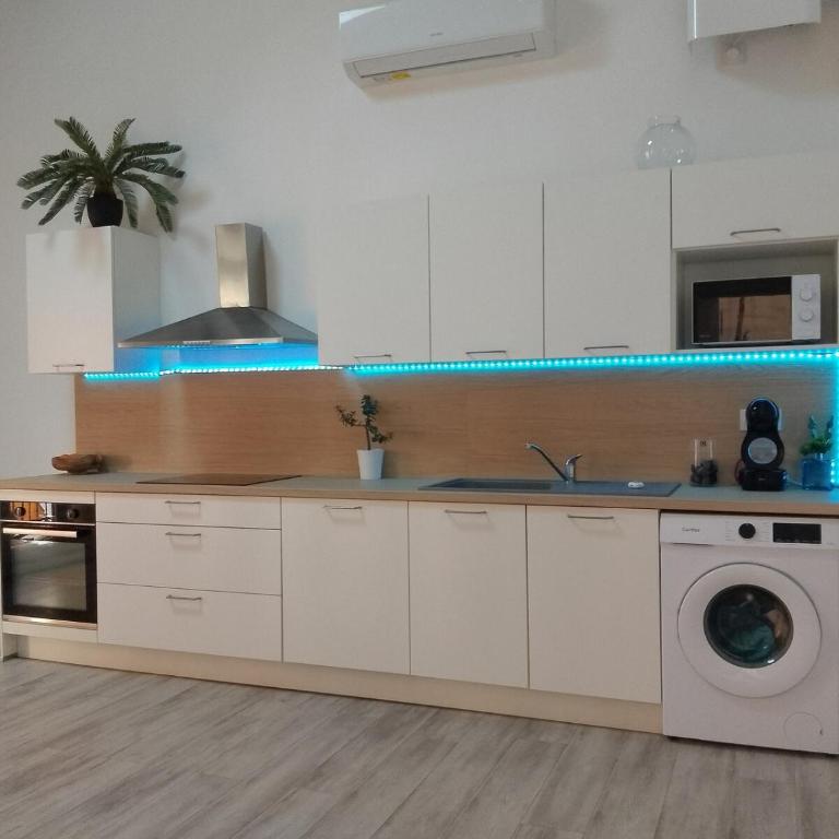 Louis Pasteur - Appartement 1 Chambre - 3
