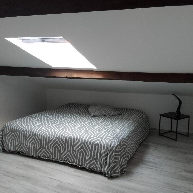 Louis Pasteur - Appartement 1 Chambre - 4